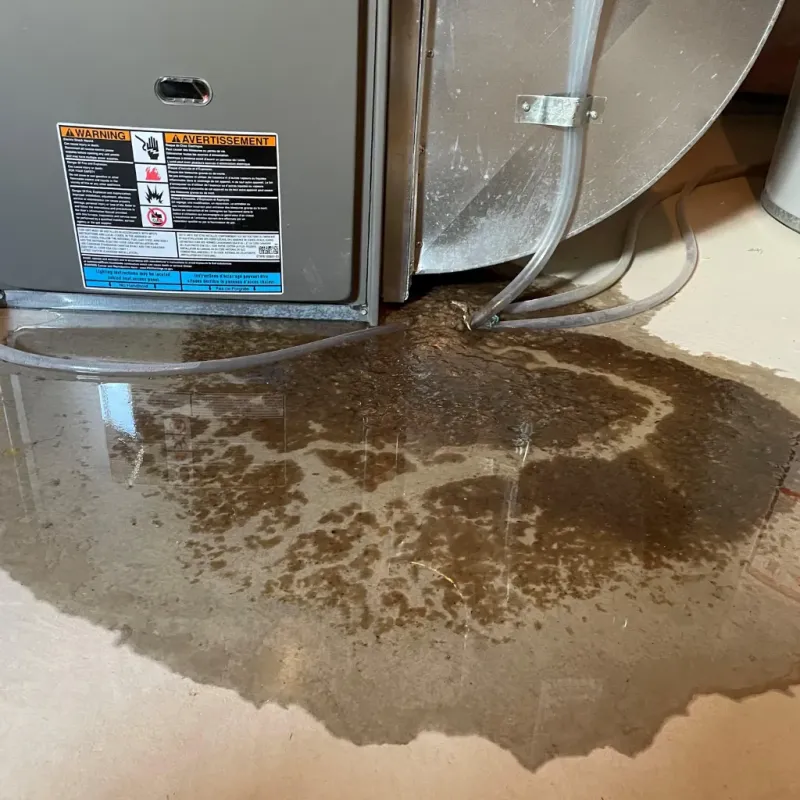 Appliance Leak Cleanup in Guin, AL